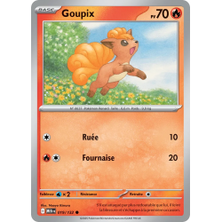 Goupix 019/132