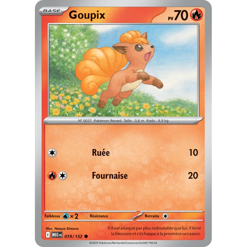 Goupix 019/132