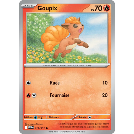 Goupix 019/132
