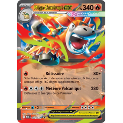 Méga-Camérupt ex 022/132