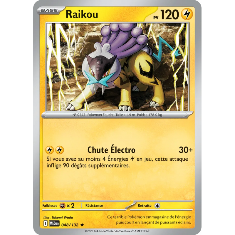 Raikou 048/132