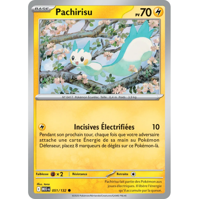 Pachirisu 051/132