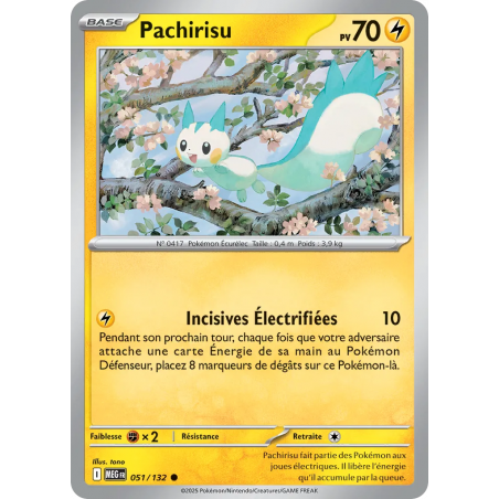 Pachirisu 051/132
