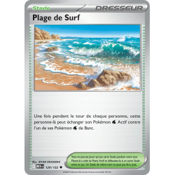 Plage de Surf 129/132