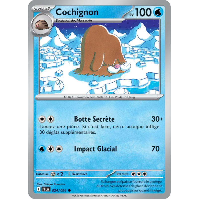 Cochignon 024/94