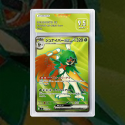 Gradation Archéduc Ex 100/088 Full Art | SFG Grading