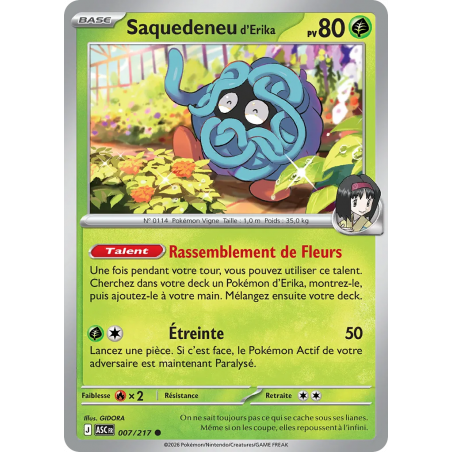 Saquedeneu d'Erika 007/217