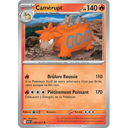 Camérupt 028/217