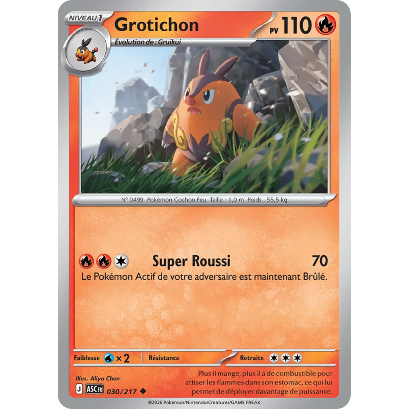 Grotichon 030/217