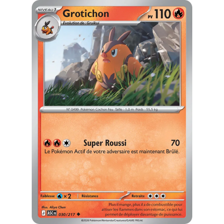 Grotichon 030/217