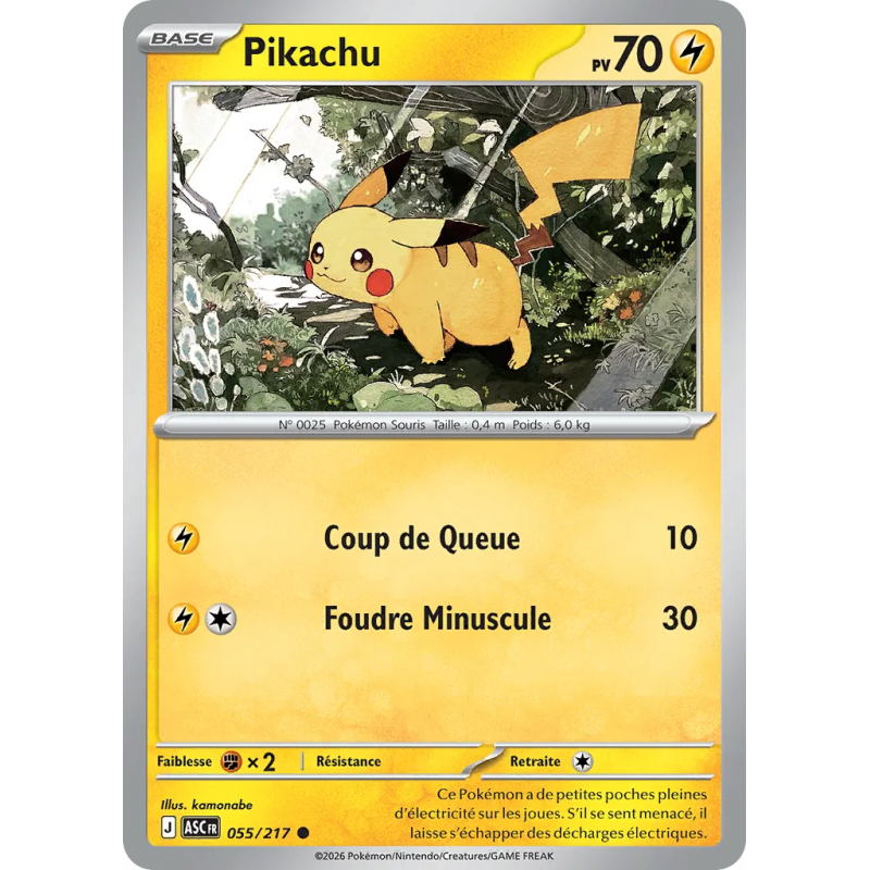Pikachu 055/217