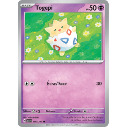 Togepi 080/217