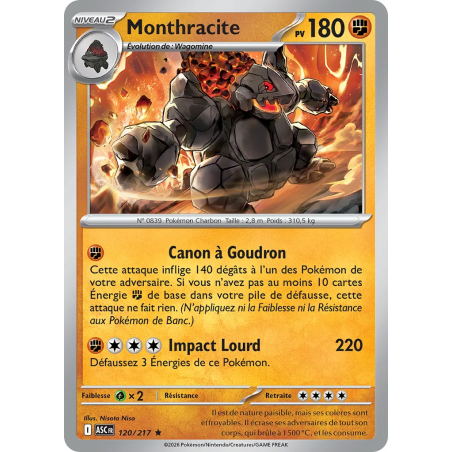 Monthracite 120/217