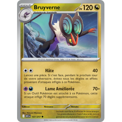 Bruyverne 157/217