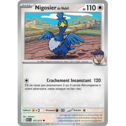 Nigosier de Nabil 177/217