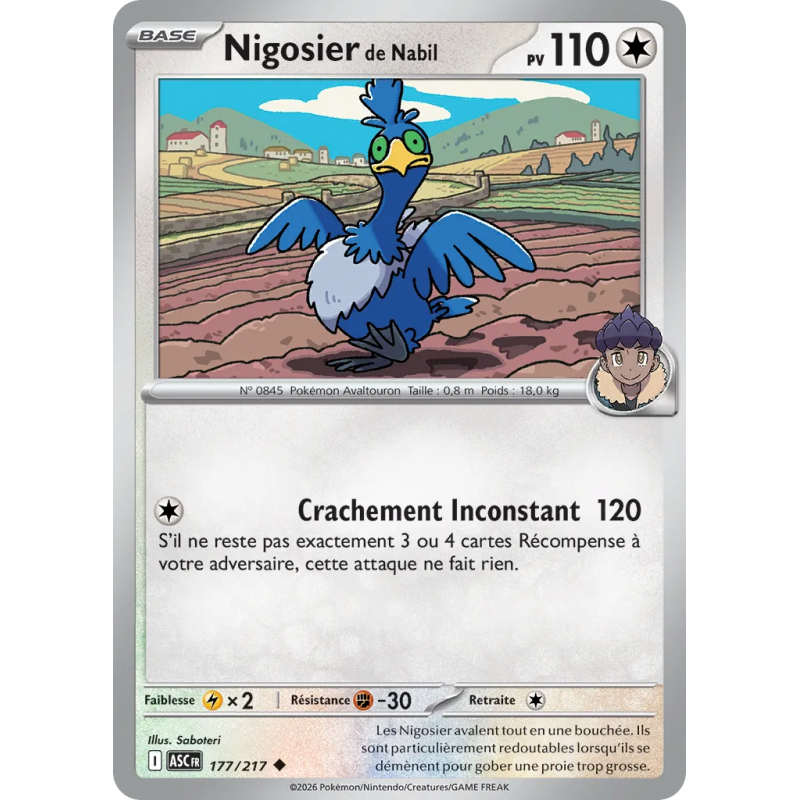 Nigosier de Nabil 177/217