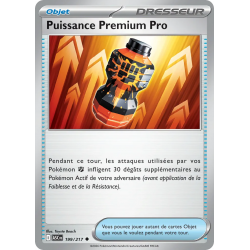 Puissance Premium Pro 199/217