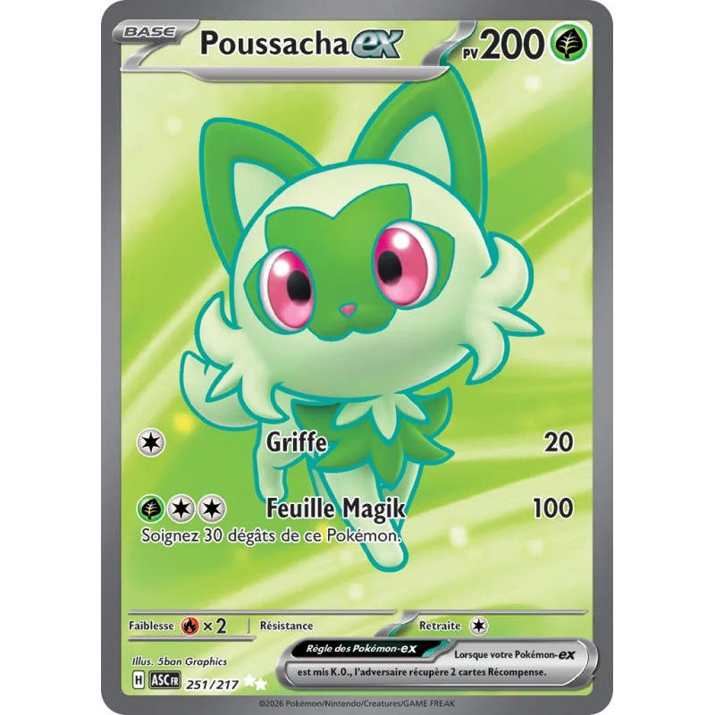 Poussacha ex 251/217