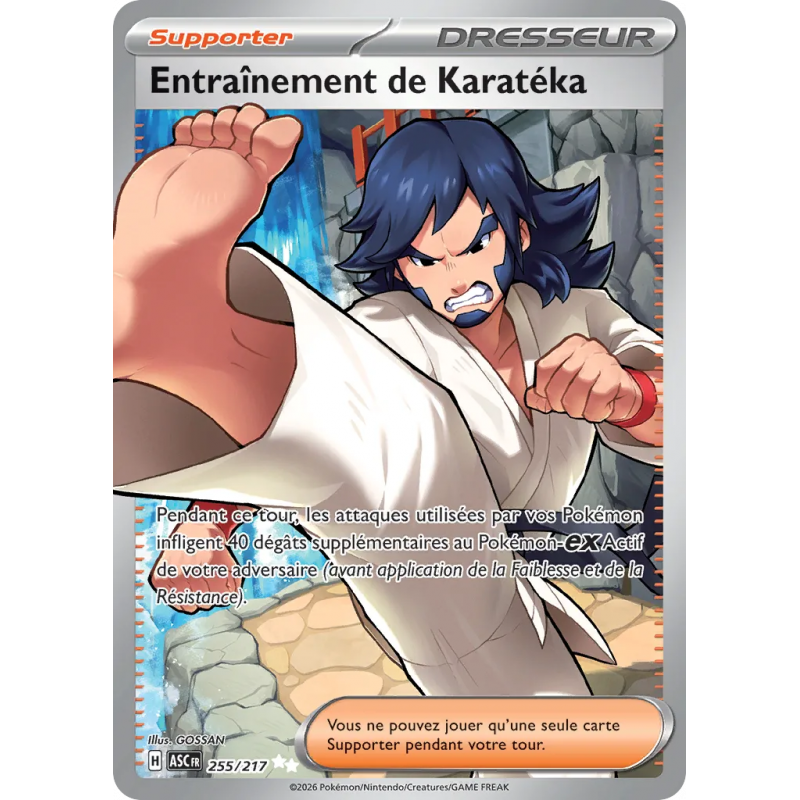Entraînement de Karatéka 255/217