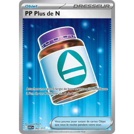 PP Plus de N 262/217