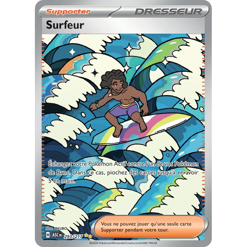 Surfeur 293/217