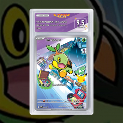 Gradation Tortipouss MEP040 Full Art | SFG Grading