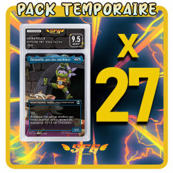 Pack 27 cartes étiquettes...