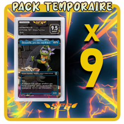 Pack 9 cartes étiquettes...