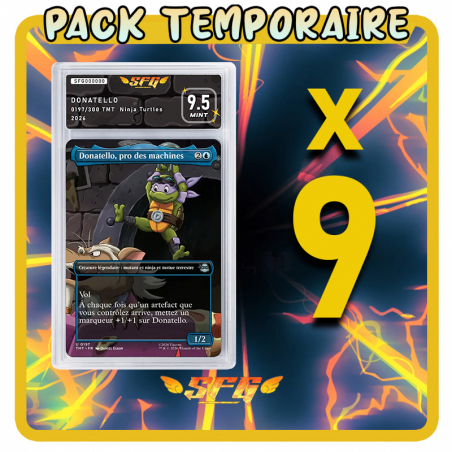 Pack 9 cartes étiquettes FULL ART - TOUTES LANGUES[LIRE] MAGIC