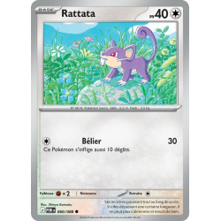 Rattata 060/88