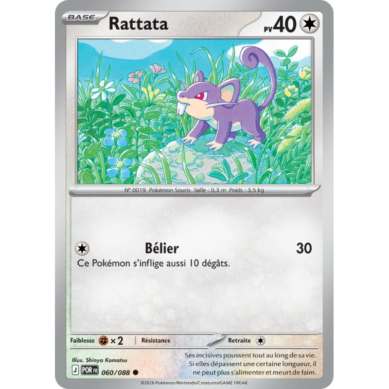 Rattata 060/88