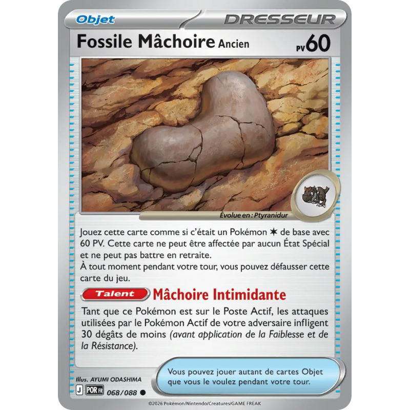 Fossile Mâchoire Ancien 068/88