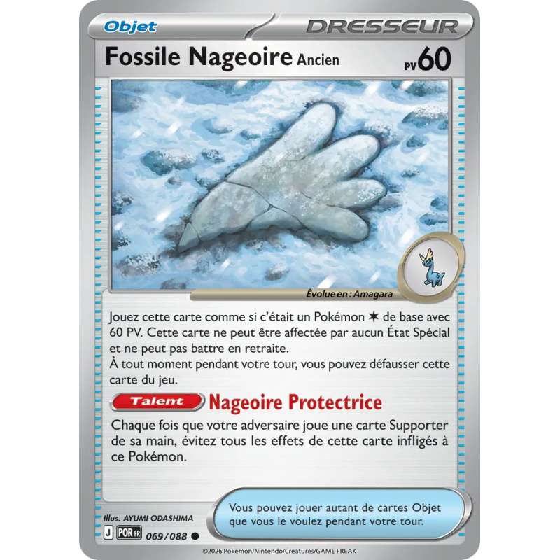 Fossile Nageoire Ancien 069/88