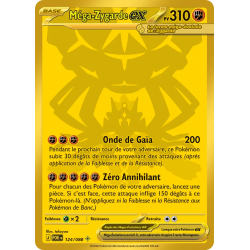 Méga-Zygarde ex 124/88