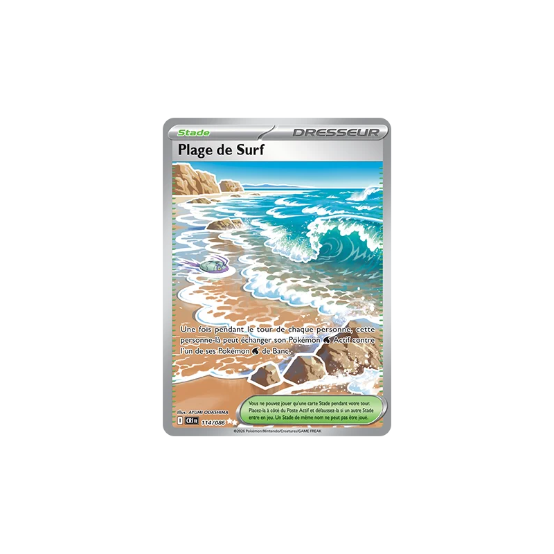 Plage de Surf 114/86