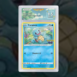 Gradation Carapuce 015/078 Full Art | SFG Grading