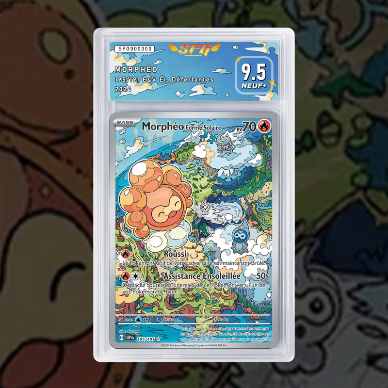 Gradation Morphéo 195/191 Full Art | SFG Grading