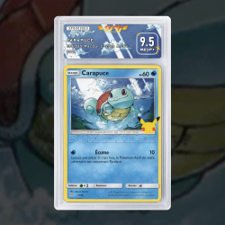Gradation Carapuce 017/025 Full Art | SFG Grading