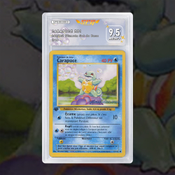 Gradation Carapuce 063/102 Full Art | SFG Grading