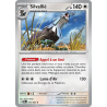 Silvallié 070/084