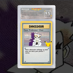 Gradation Faux Professeur Chen 073/102 | SFG Grading