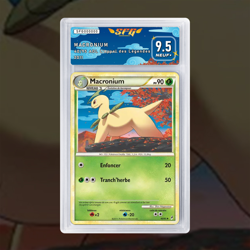Gradation Macronium 40/95 Full Art | SFG Grading