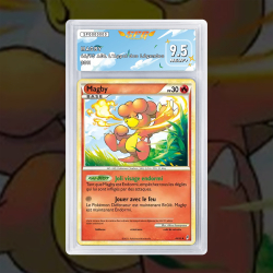 Gradation Magby 46/95 Full Art | SFG Grading