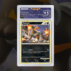 Gradation Malosse 59/95 Full Art | SFG Grading