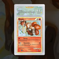 Gradation Goupix 75/95 Full Art | SFG Grading