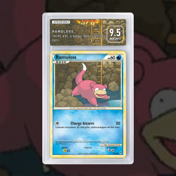 Gradation Ramoloss 70/95 Full Art | SFG Grading