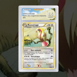Gradation Roucarnage 30/95 Full Art | SFG Grading