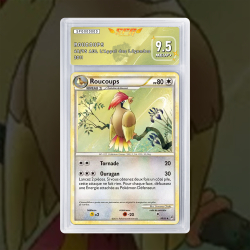 Gradation Roucoups 48/95 Full Art | SFG Grading