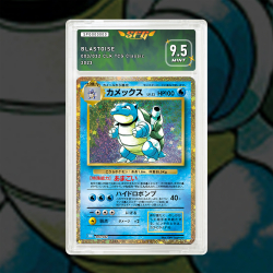 Gradation Tortank 2/102 Full Art | SFG Grading