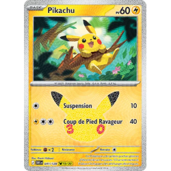 Pikachu 041/103